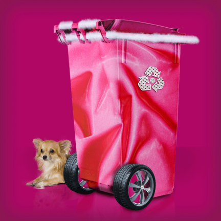 Recycling Campaign Photoshop Work – Pink Princess Bin